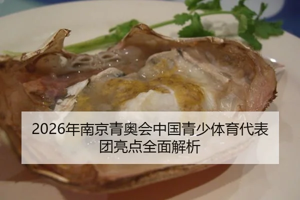 2026年南京青奥会中国青少体育代表团亮点全面解析