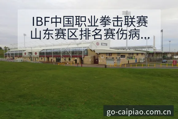 IBF中国职业拳击联赛山东赛区排名赛伤病恢复对赛程影响 - 500彩票网官方