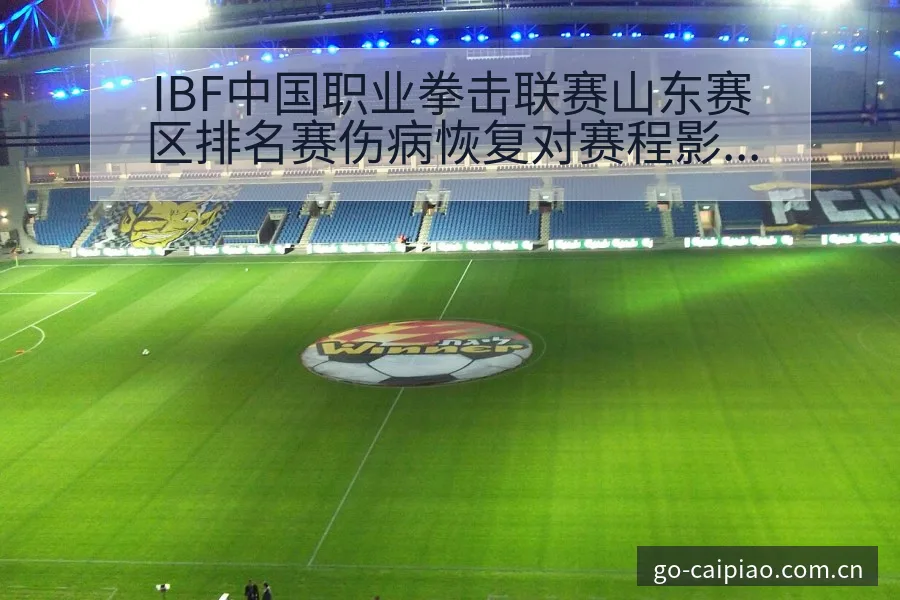 IBF中国职业拳击联赛山东赛区排名赛伤病恢复对赛程影响 - 500彩票网官方